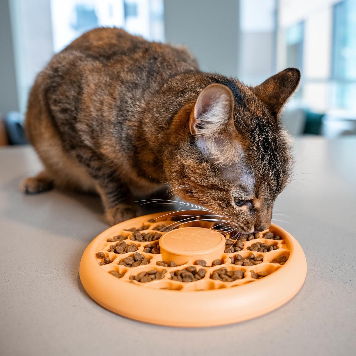 Catstages Slow Feeder Bowl & Treat Puzzle Cat Toy, Aids Digestion, 6.6" - Image 7